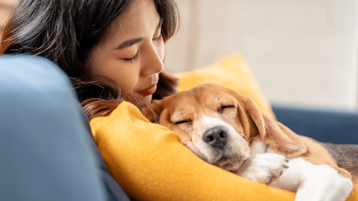 Dogs Can Hear Your Heartbeat