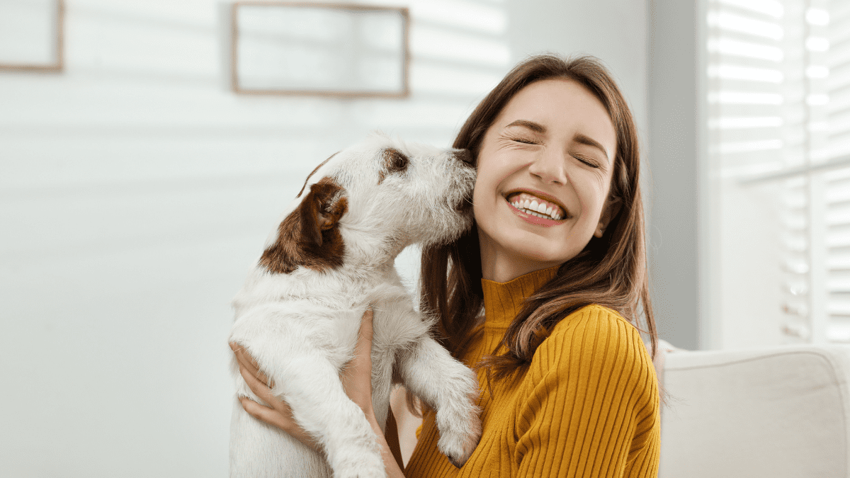 Dogs Smell Your Emotions