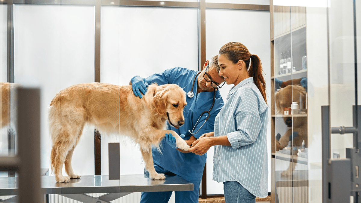 Don't Skip Vet Visits