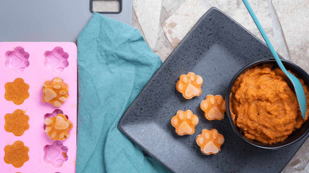 Frozen Treat Molds