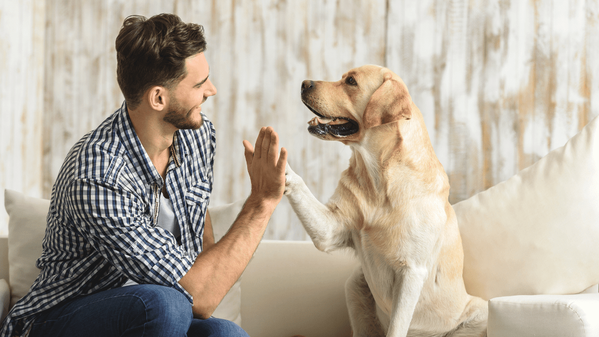 High-Five