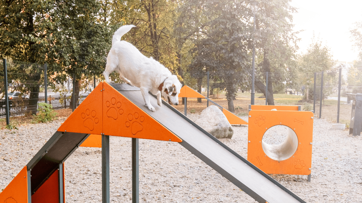 Injuries from Play Equipment