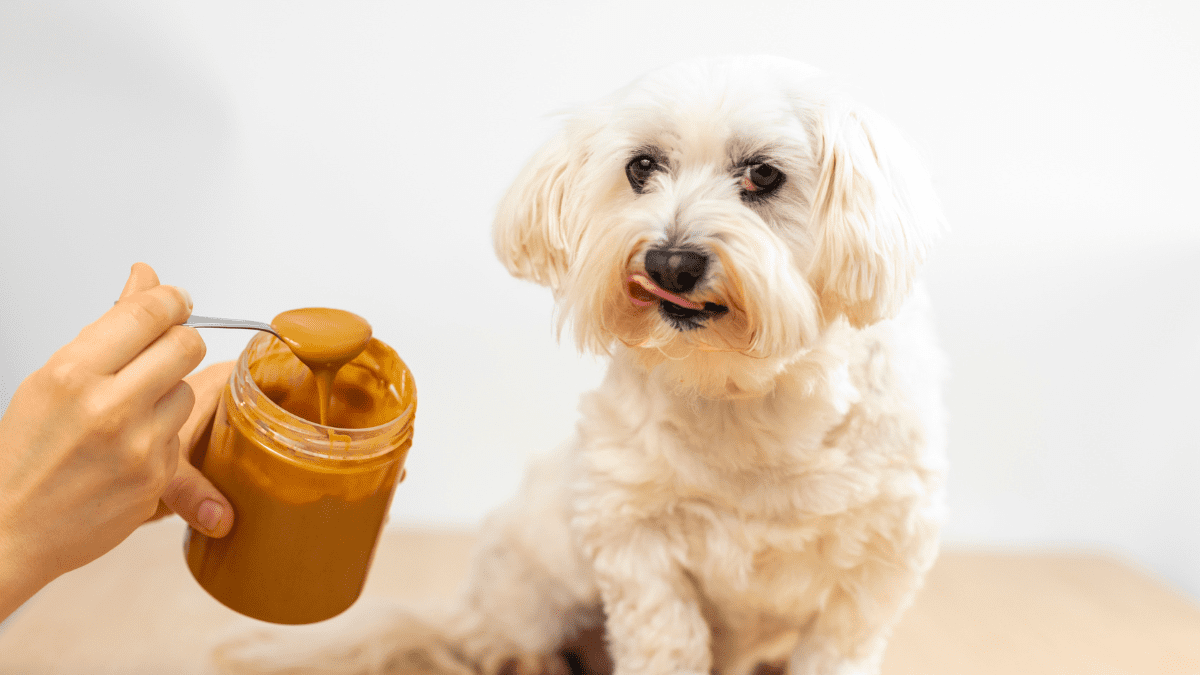 Peanut Butter