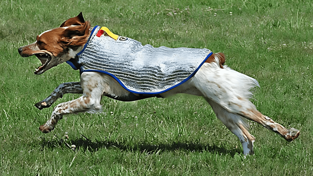 Reflective Cooling Vests