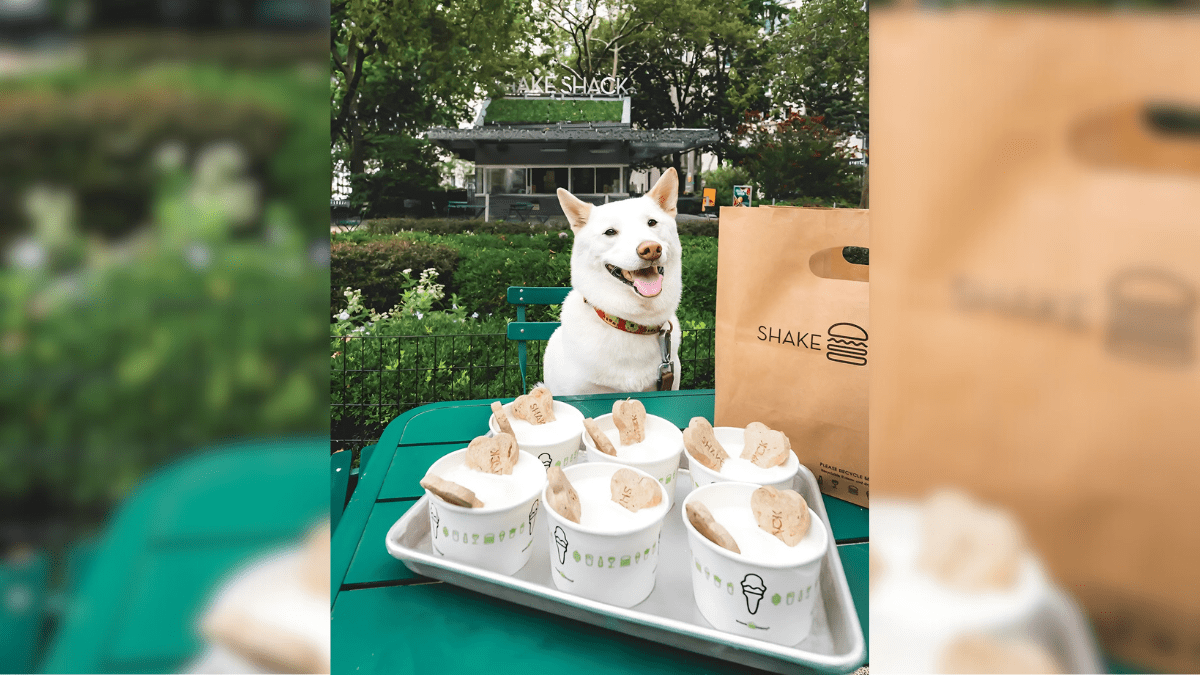 Shake Shacks Pooch ini 1