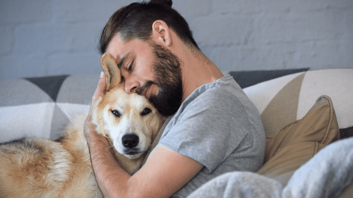 Show Your Love and Affection Every Day