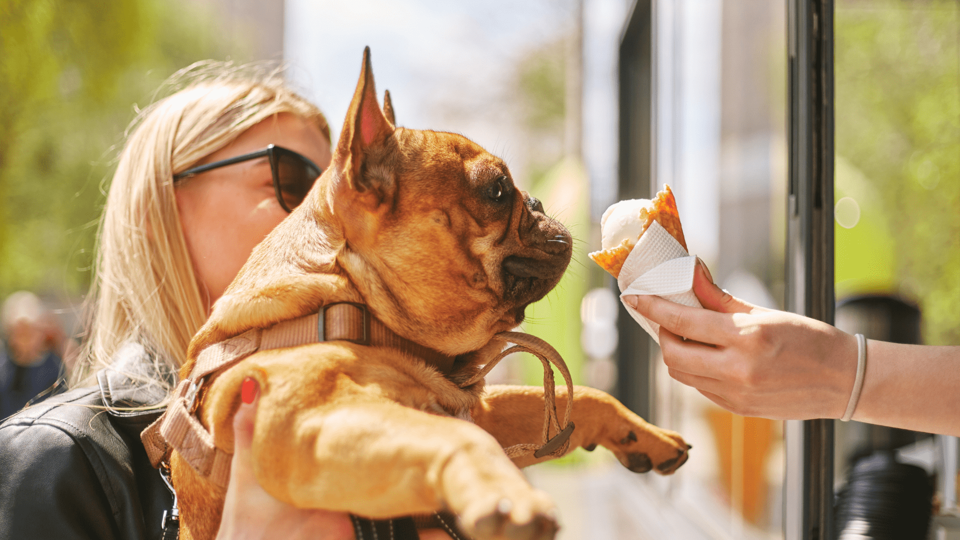 The 10 Fast Food Chains with Secret Menus for Dogs