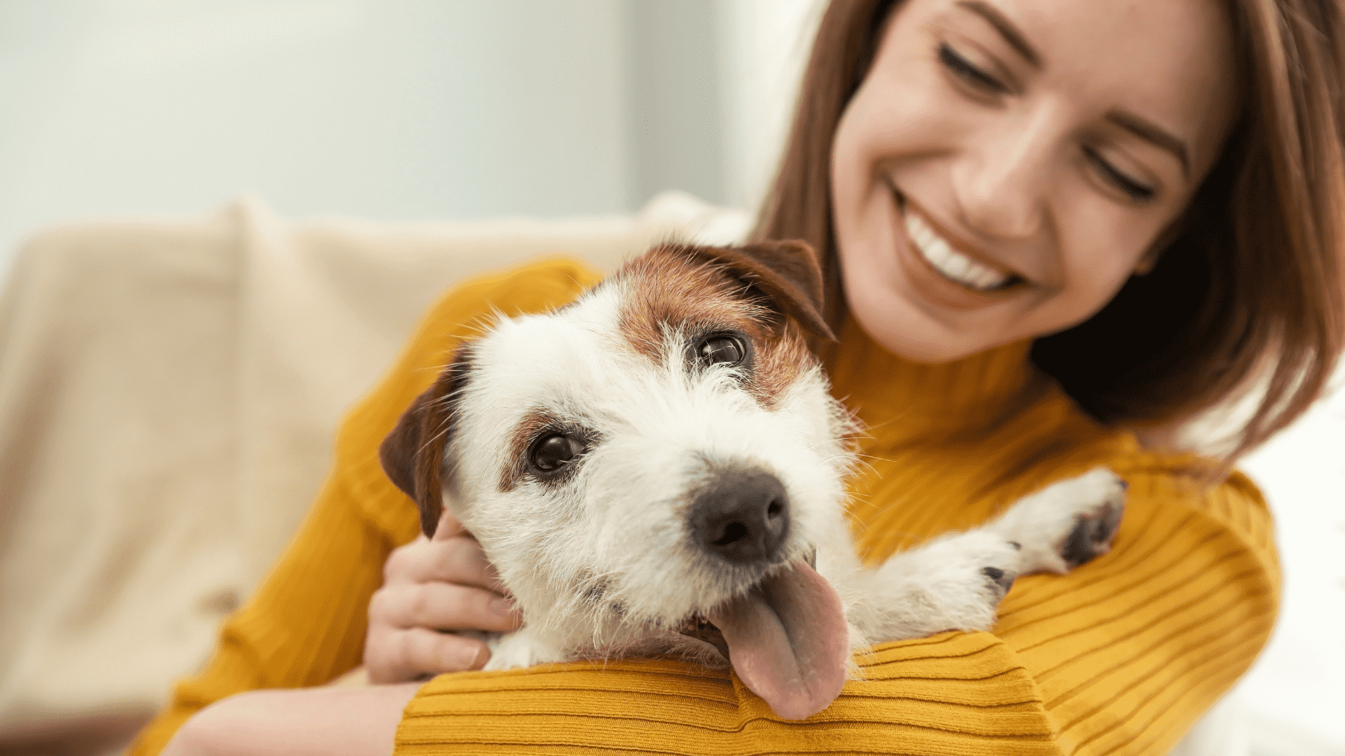 The 10 Weird Ways Your Dog Shows You Love 1