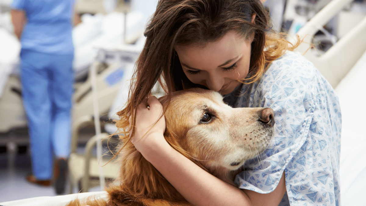 Therapy Dogs