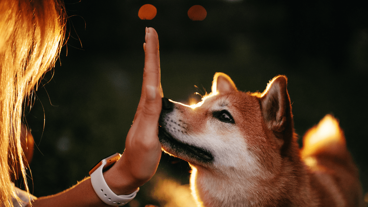 Touch