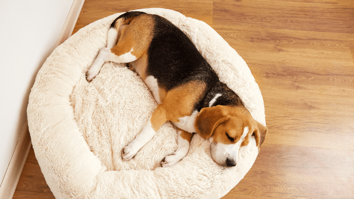Changes in Sleeping Patterns