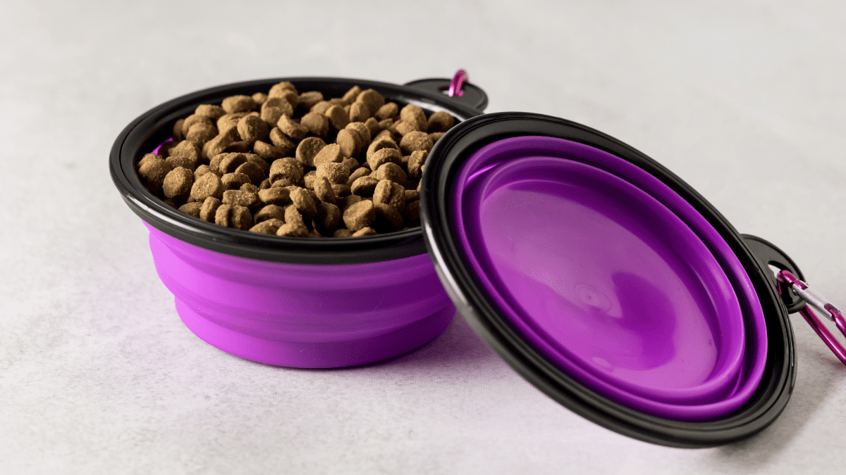 Dog Food Supply