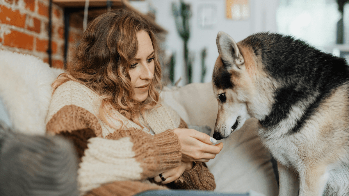 Dogs Learn Best in Tiny Steps