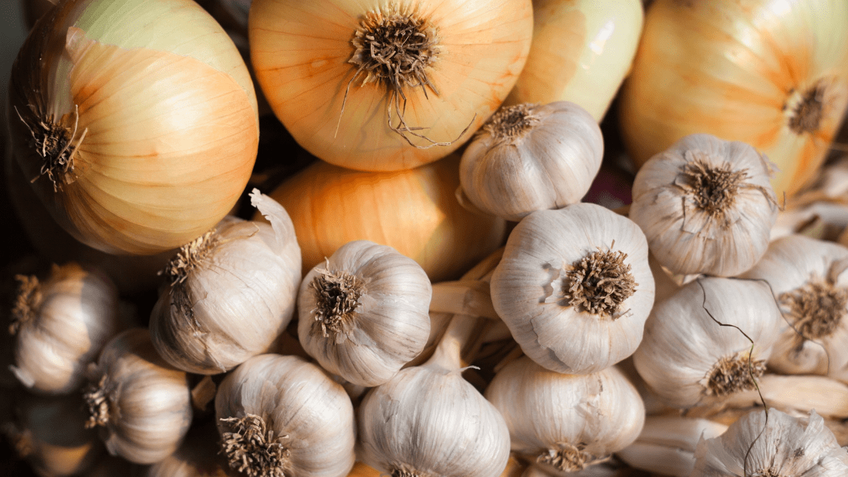 Onion and Garlic
