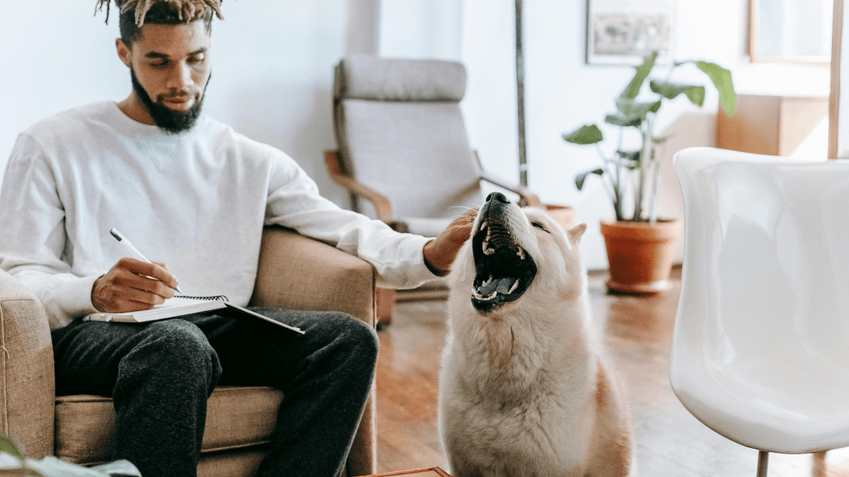 Stress Signals Are Easy to Miss