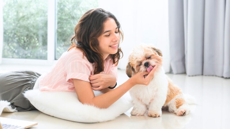 The 10 Cutest Dog Breeds That Are Perfect for Apartment Living