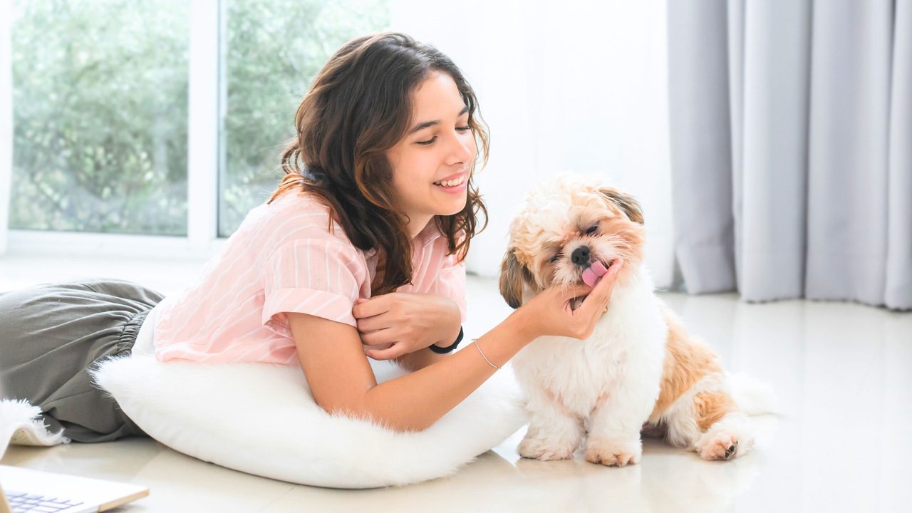 The 10 Cutest Dog Breeds That Are Perfect for Apartment Living