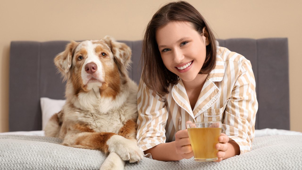 The 10 Most Loyal Dog Breeds You'll Never Regret Owning