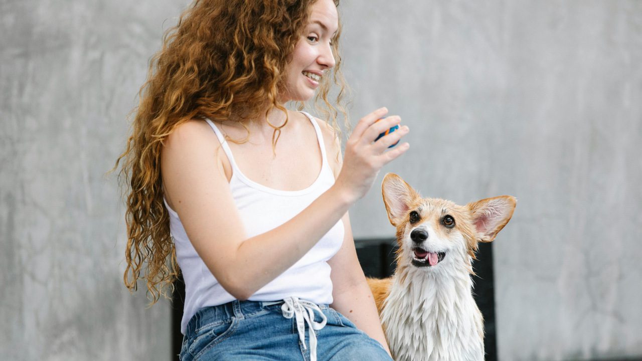The 14 Things Only Dog Trainers Know (That You Don’t)