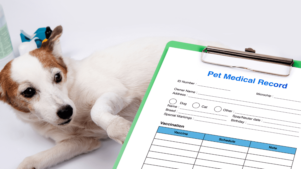 Vet Records and Contacts