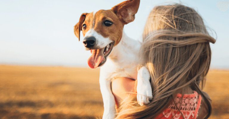 12 Ways Dogs Show Their Strong Bond with Families dog news