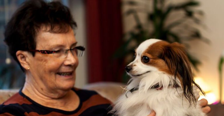19 Gentle Dog Breeds Well Suited for Senior Companionship dog news