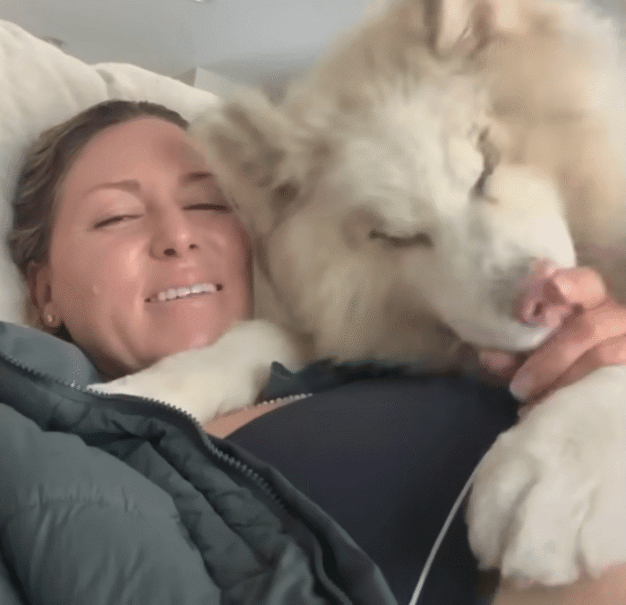Abandoned Blind Husky Has The Best Glow Up The Dodo 1 13 screenshot