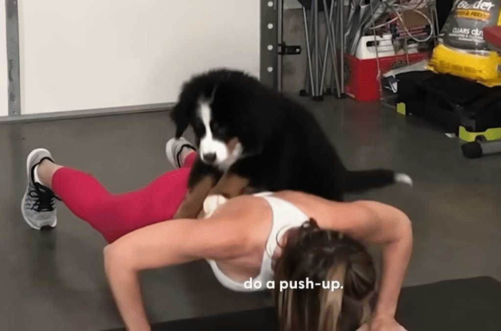 Clingy Dog Wont Let His Mom Get A Workout In The Dodo 0 25 screenshot