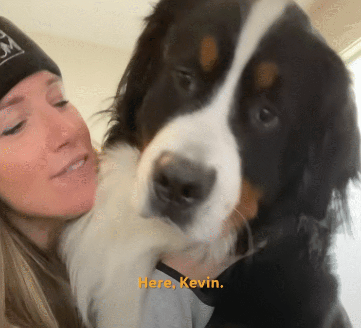 Clingy Dog Wont Let His Mom Get A Workout In The Dodo 1 22 screenshot