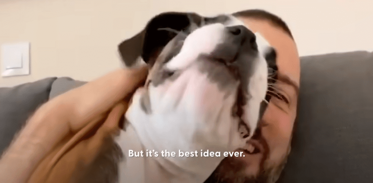 Couple Instantly Regrets Adopting Trouble Maker Puppy The Dodo 0 47 screenshot