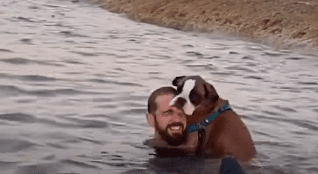 Couple Instantly Regrets Adopting Trouble Maker Puppy The Dodo 1 26 screenshot 1