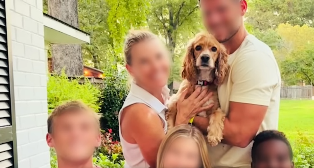 Dog Forced To Live Outside In Texas Heat Rescued By Neighbor The Dodo 1 6 screenshot