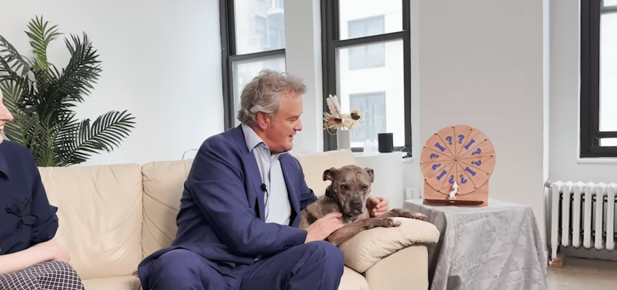 Hugh Bonneville and Laura Carmichael Go On a Dodo Dream Date The Dodo 1 13 screenshot