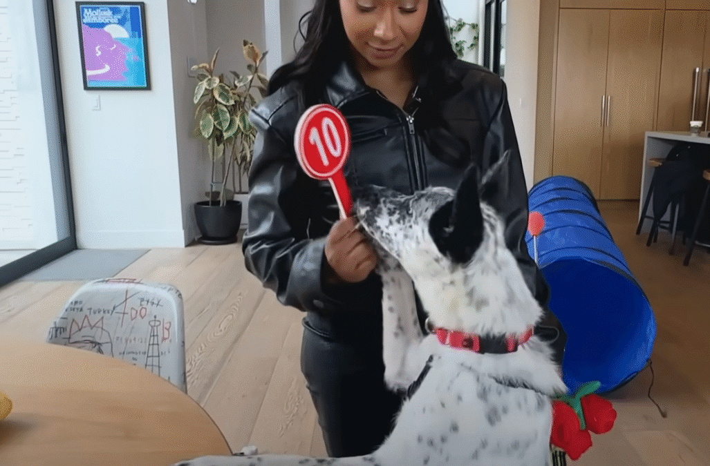 Jordan Chiles Goes On A Dodo Dream Date The Dodo 2 47 screenshot
