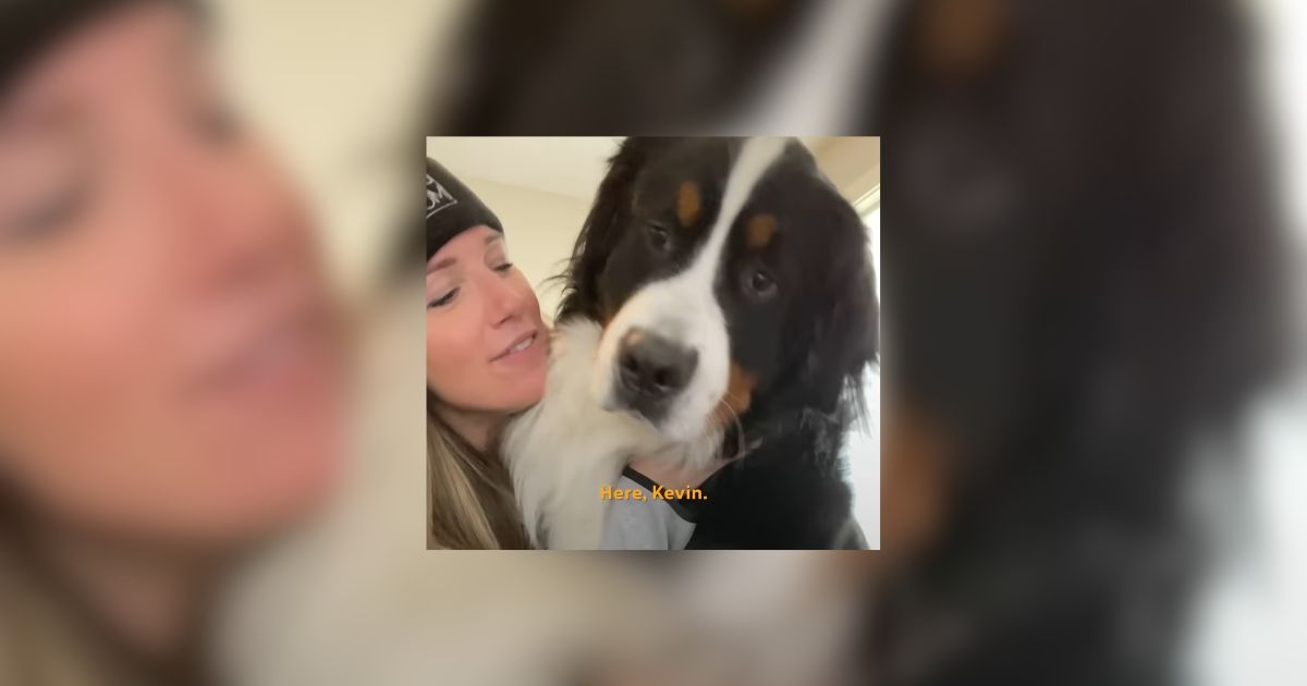 Oregon Clingy Dog Interrupts Moms Workouts With Hilarious Antics
