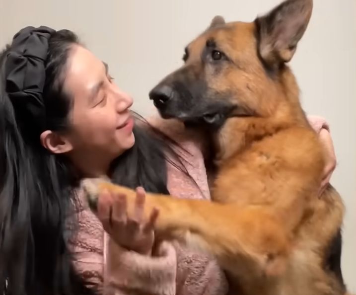 Senior German Shepherd Loves to Bring Grandma Her Slippers The Dodo 0 33 screenshot