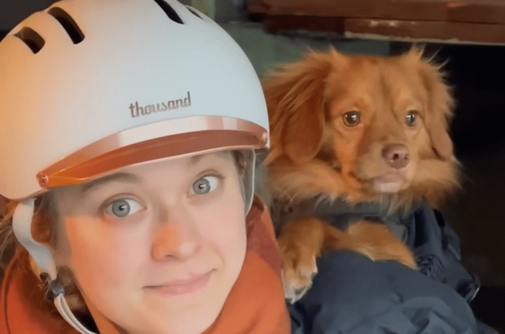 Terrified Stray Dog Becomes The Protector Of The House The Dodo 3 7 screenshot