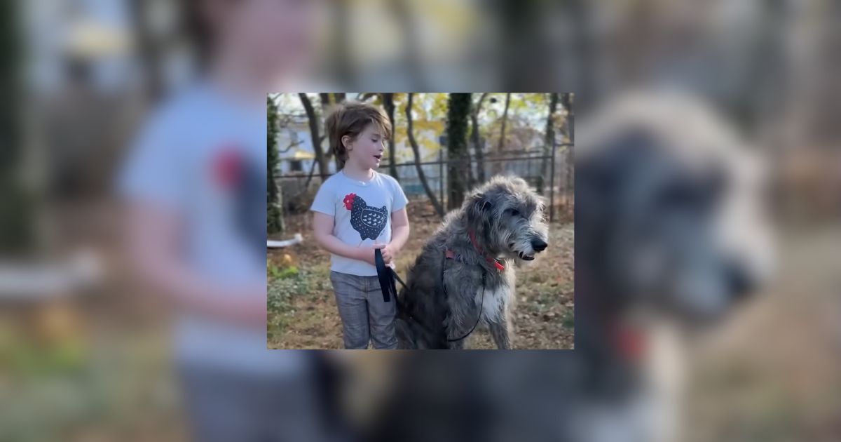 Texas Dog Becomes Emotional Support Guardian To Tiny Animals And Her Human Brother