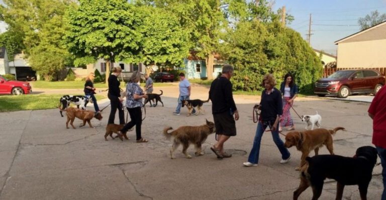 10 Unexpected Costs of Owning a Dog You Might Not Have Considered dog news