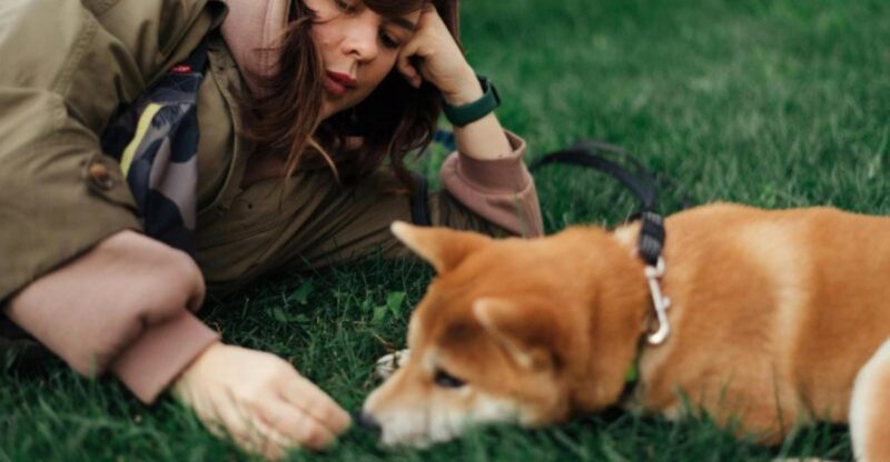 11 Clear Signs That Reflect a Dogs Deep Loyalty to Its Owner