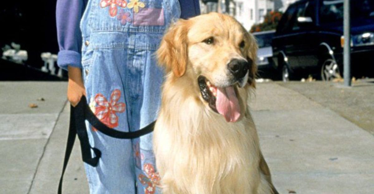 13 Iconic TV Dogs That Defined Generations of Viewers