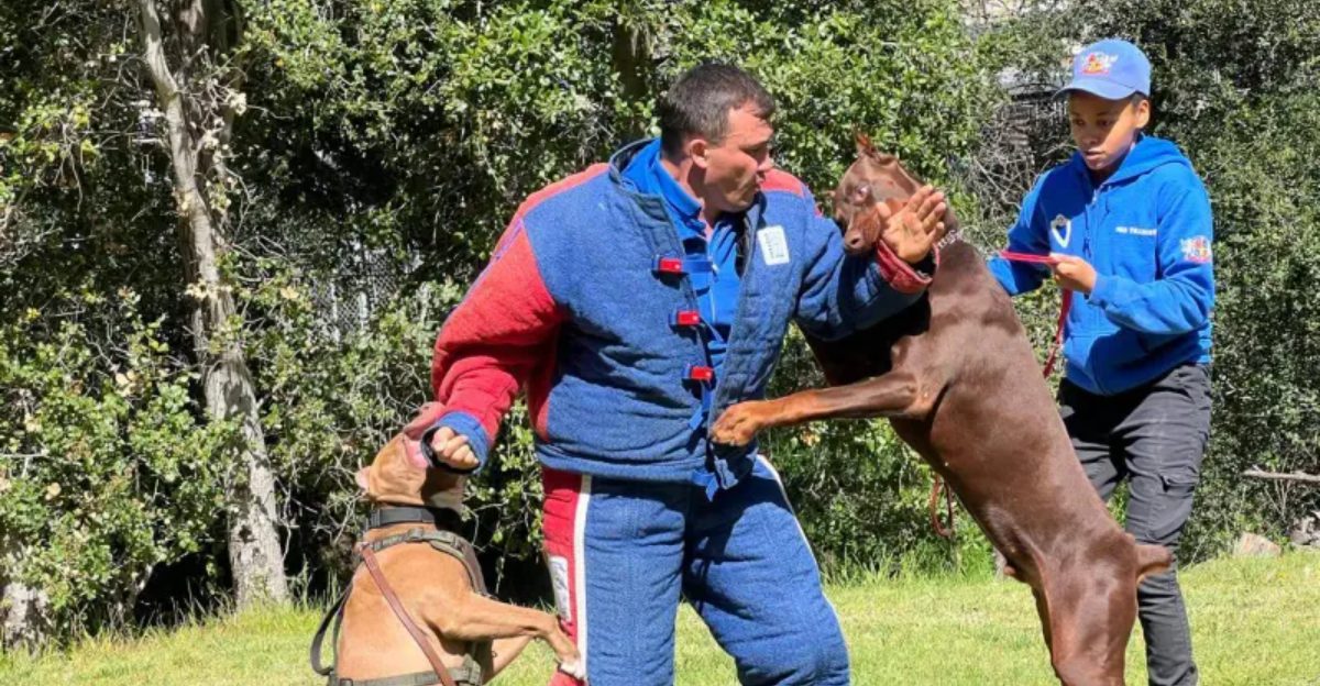 19 Signs Your Dog May Be Reactive – and How Training Can Help Calm Their Behavior