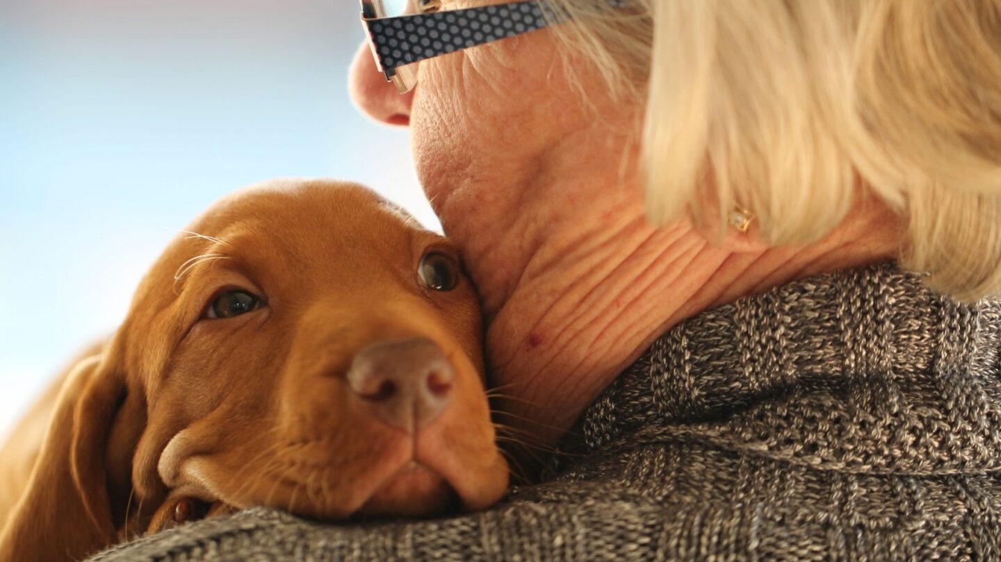 20 Gentle Dog Breeds That Make Great Companions in Your 70s