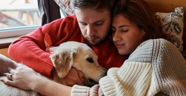 22 Dog Breeds Known for Their Love of Snuggling dog news