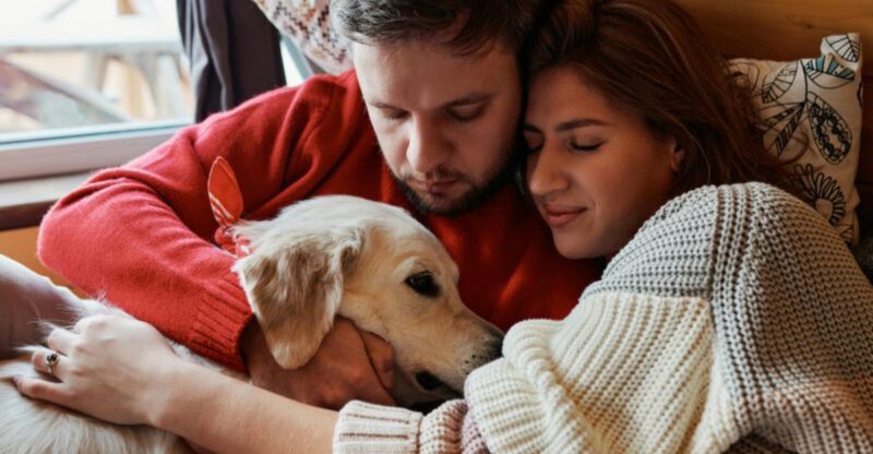 22 Dog Breeds Known for Their Love of Snuggling