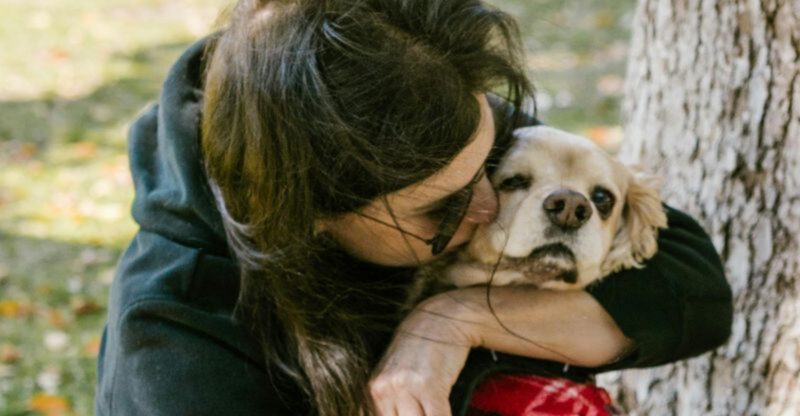 22 Ways Dogs Inspire Us to Enjoy Lifes Simple Moments
