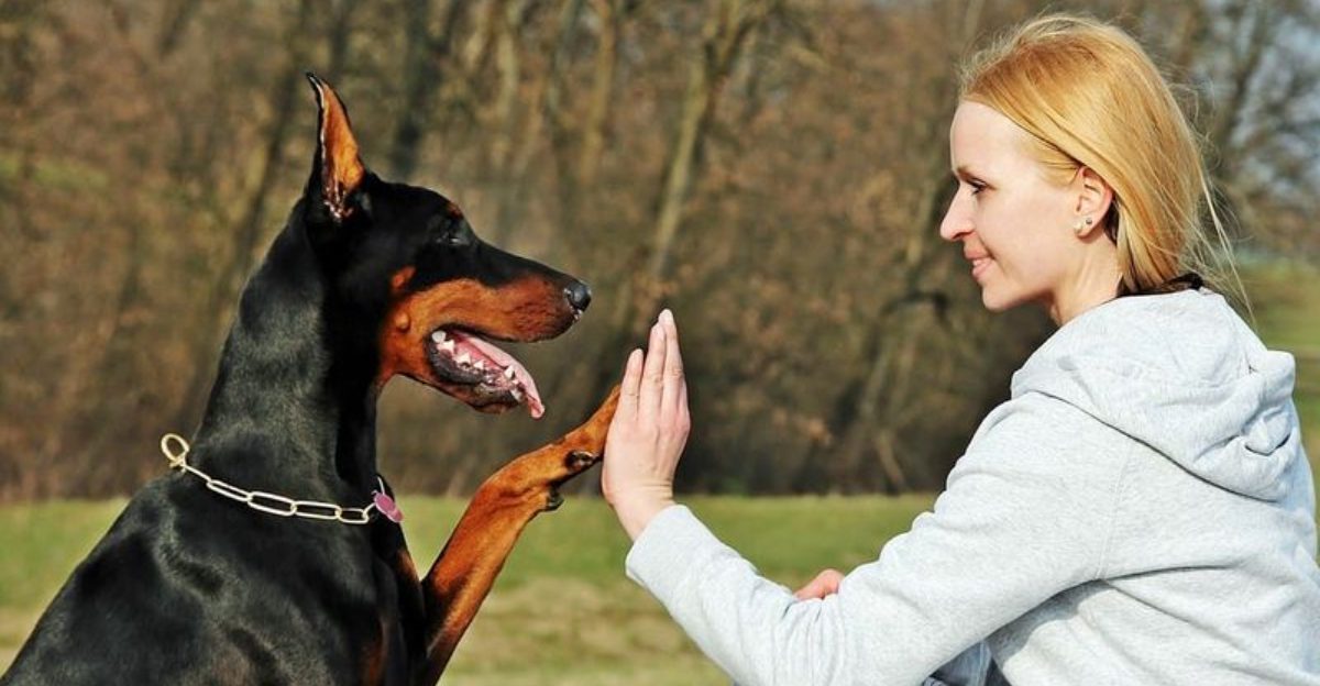 26 Dog Breeds That Show Their Affection in the Sweetest Everyday Ways