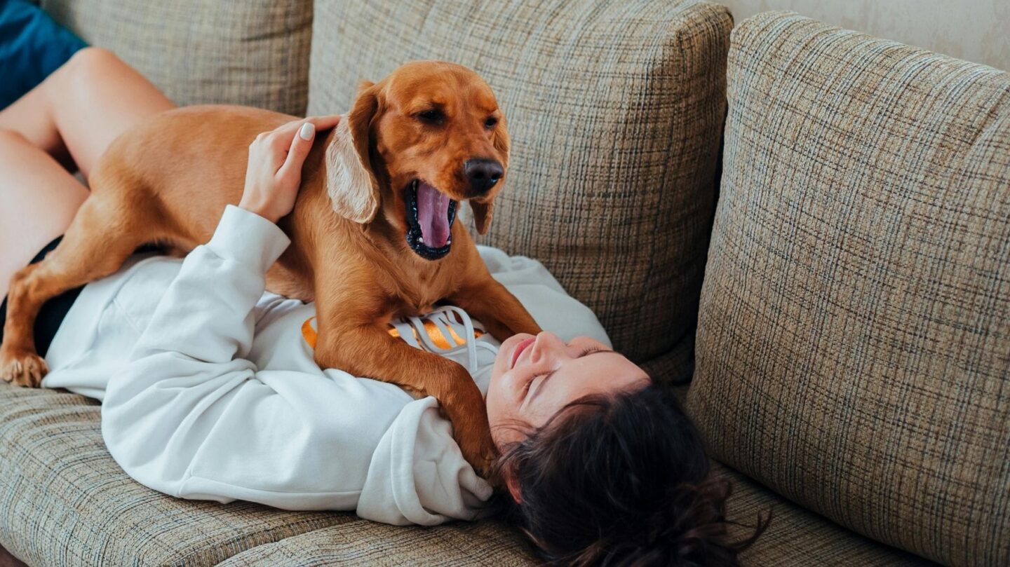 26 Empathetic Dog Breeds That Sense Your Mood and Offer Comfort