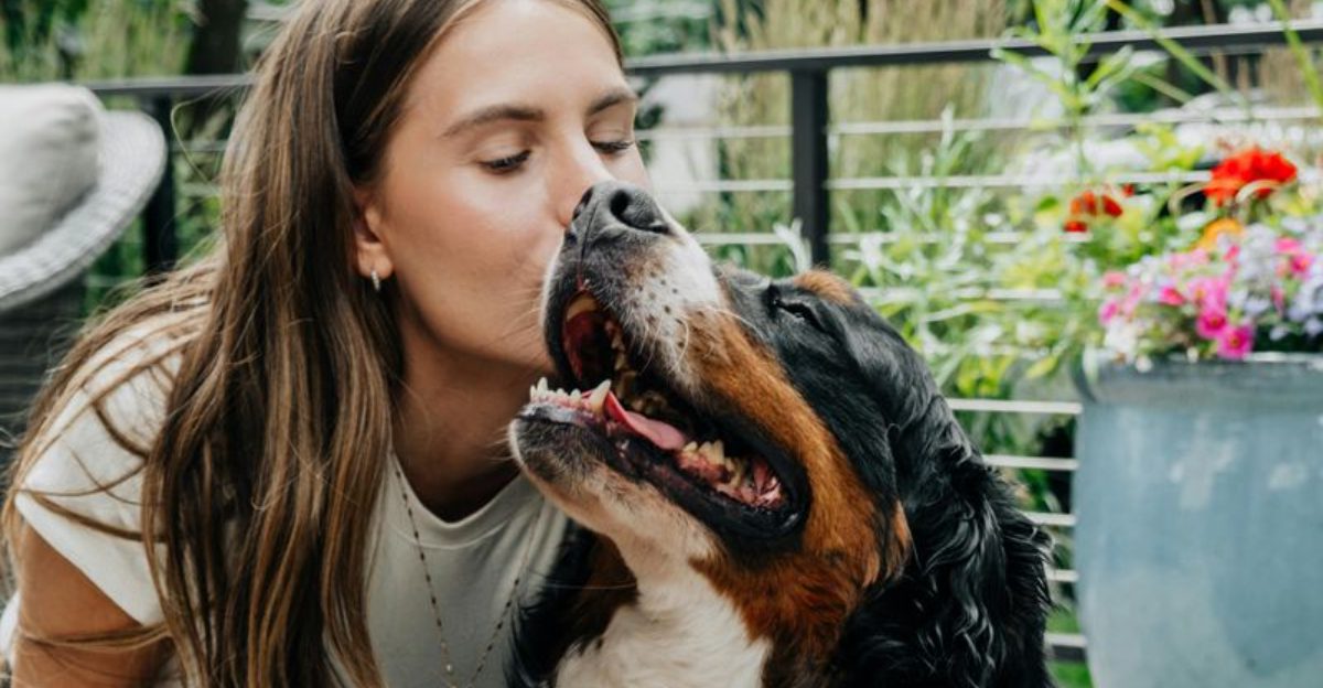 26 Loyal Dog Breeds Ideal for People Seeking Constant Companionship