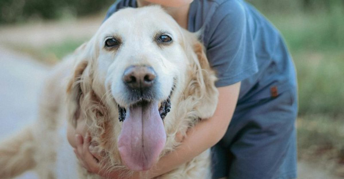 27 Dog Breeds That Naturally Get Along with Kids and Families